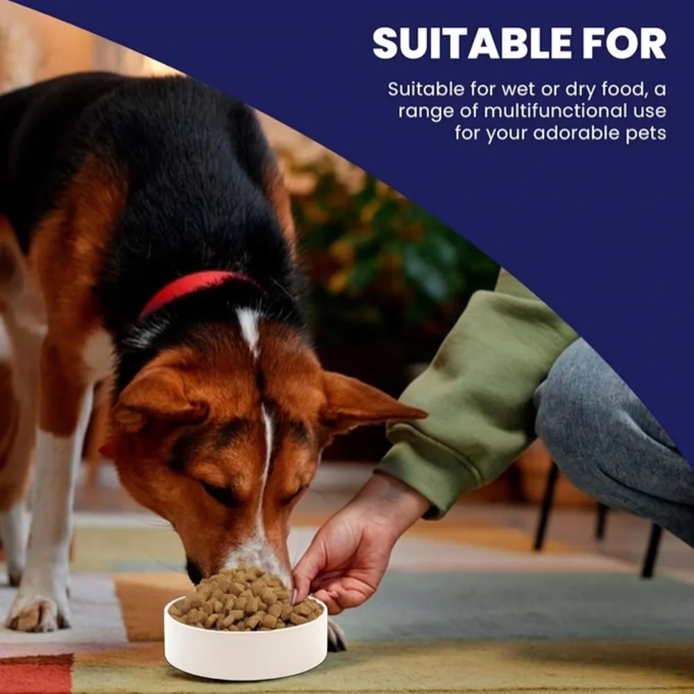 Classic Heavy-Duty Ceramic Stoneware Bowl for Dogs & Cats